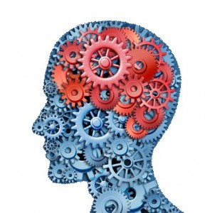 Human brain function represented by red and blue gears